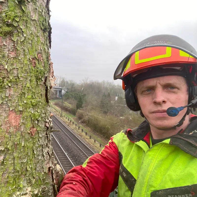 Baumpfleger Sascha Huth Baumpfleger Sascha Huth